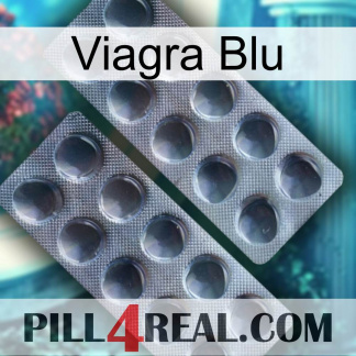 Viagra Blu 31